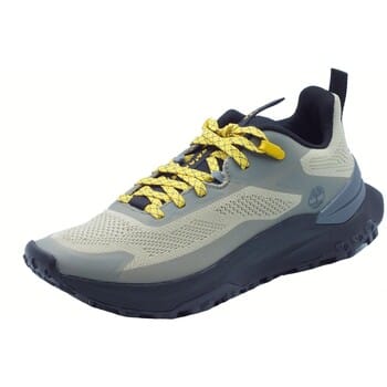 Fitness Schoenen Timberland 0A6DJK Motion Access Light Brown