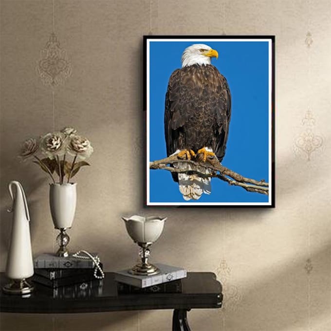5D DIY Diamond Painting  American Eagle  Borduurkruissteek Home Decor Cadeau 20X30CM black