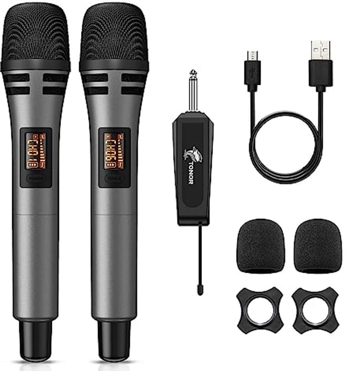 Draadloze Handheld Microfoon met Oplaadbare Ontvanger voor Karaoke en Feesten