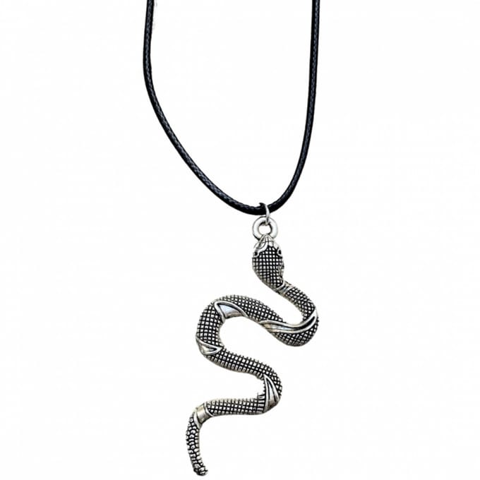 Ketting Slang zilverkleur 45 cm - Charme Bijoux