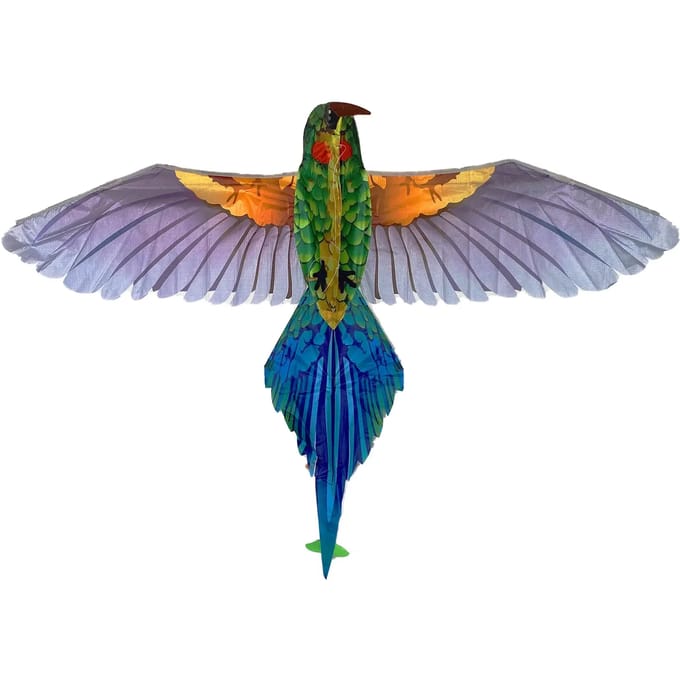 Tropische vogel vlieger Icare Distribution
