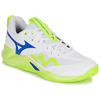 Mizuno Wave Momentum Pro Indoorschoenen Heren
