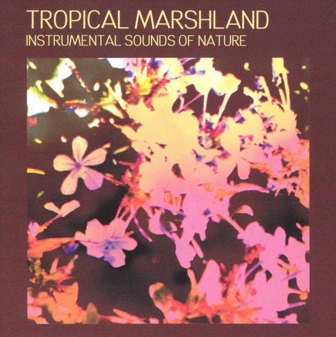 Tropical Marshland