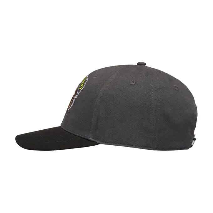 Snapback pet DC Shoes Couch Chilling