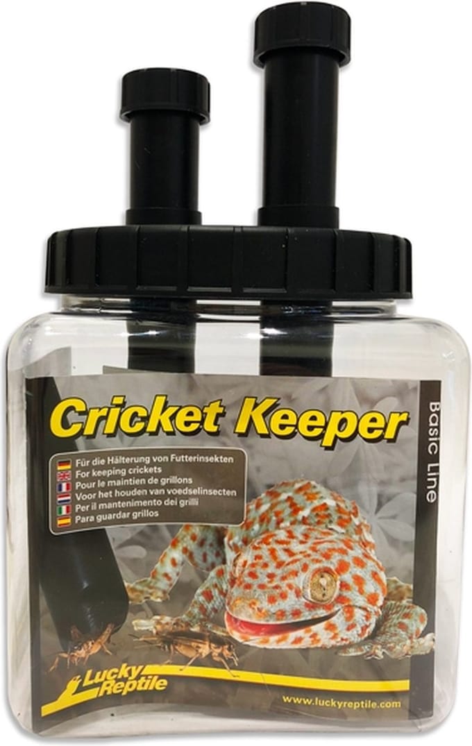 Lucky Reptile Cricket Keeper