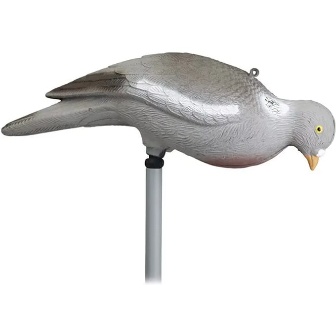 Pigeonvoer zonder poot Stepland (x12)