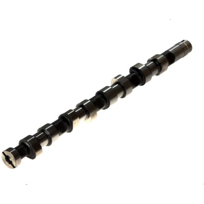 Nokkenas  AE CAM679