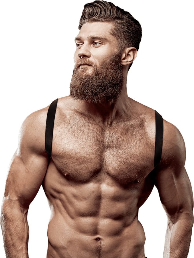 FETISH SUBMISSIVE ATTITUDE | Fetish Submissive Attitude - Eco Leather Back Strap Harness Men