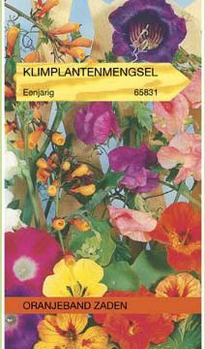 Oranjeband Zaden - Klimplanten mengsel