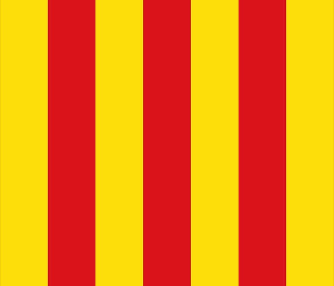 Vlag Kontich 200x300cm