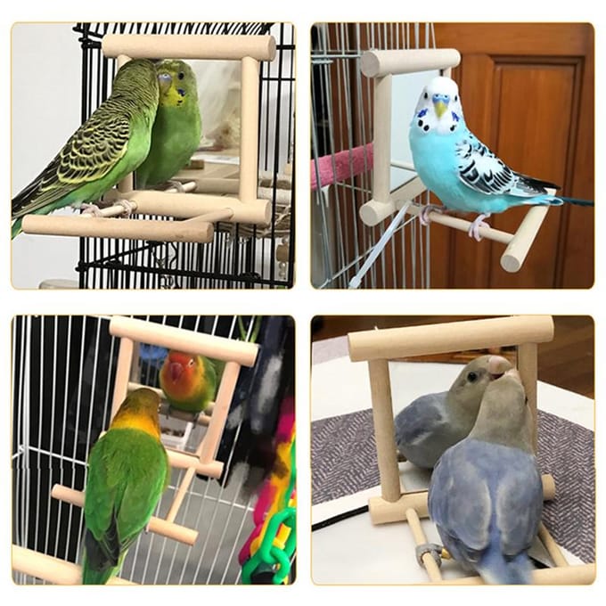 Vogelspiegel met Stok Vogelstok Spiegel Speelgoed Standaard Vogelspeelgoed Valkparkieten Kooi bruin