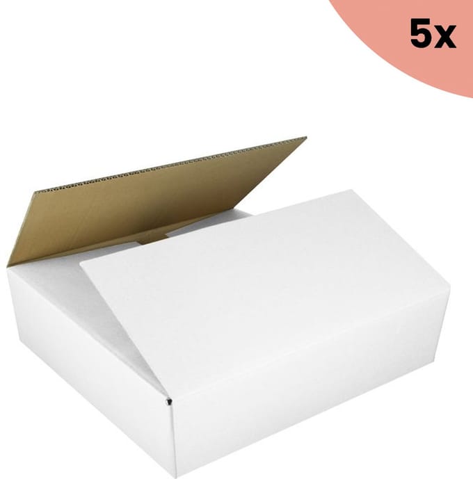 5x Verzenddoos Raadhuis 560x540x100mm EB-golf wit