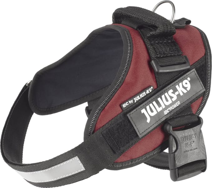 Julius-K9 IDC®Powertuig, M - maat 0, claret bruin