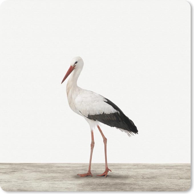 Muismat 20x20 cm - Mousepad Dieren - Ooievaar - Wit - Muismatten