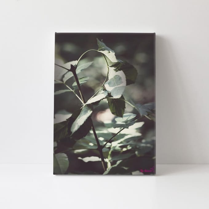 Canvasdoek - Schilderij - Blaadje Natuur Stichting By Amanda - Groen - 150 X 100 Cm