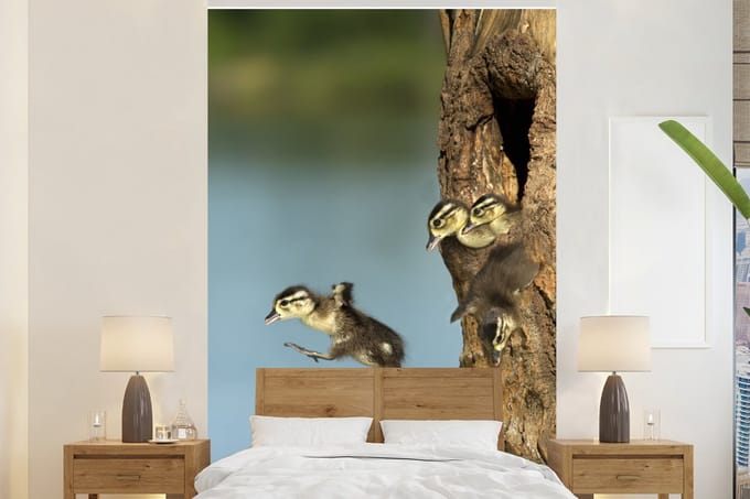 Behang - Fotobehang Eend - Vliegen - Boom - Breedte 160 cm x hoogte 240 cm
