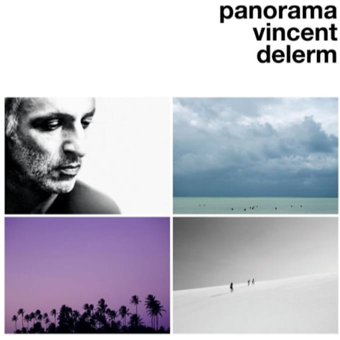 Vincent Delerm - Panorama (LP)