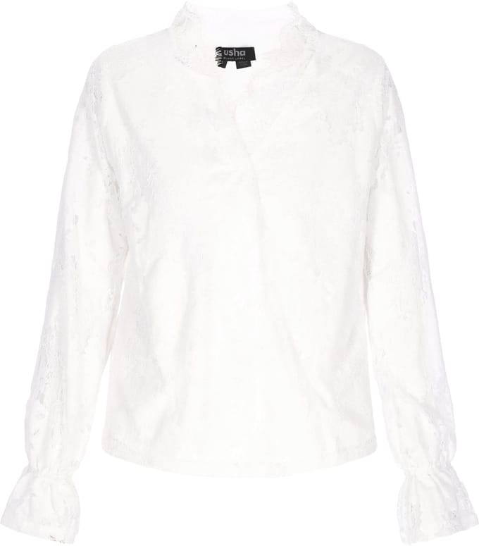 usha Blouse
