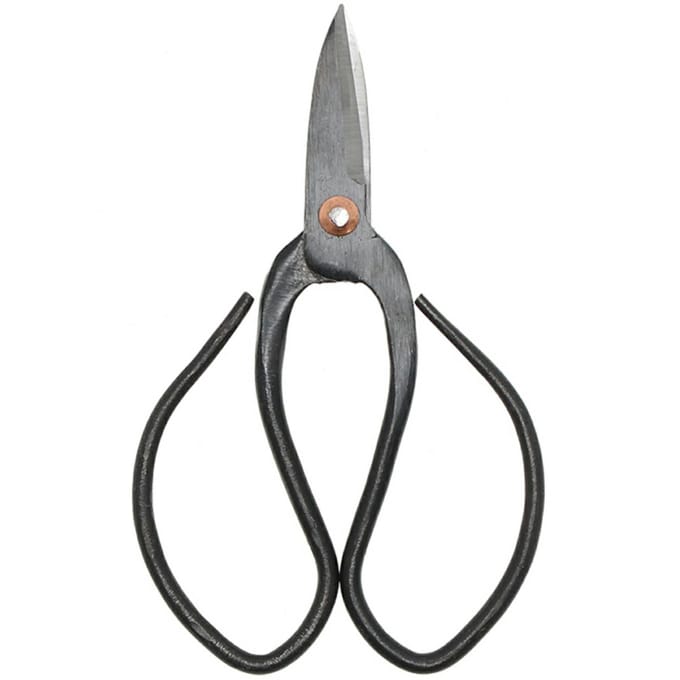 Bonsai shears S - 12 cm - Bonsai tool