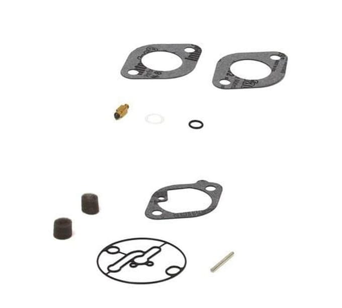 Briggs & stratton carburateur reparaties