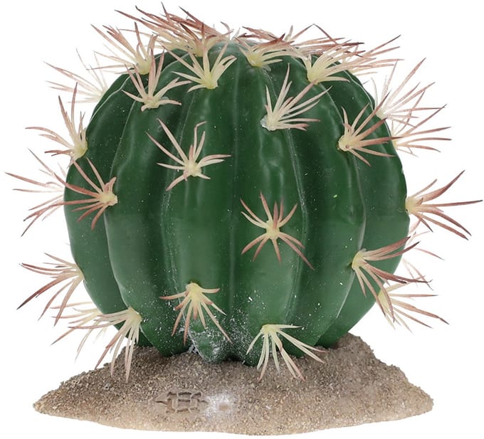 Terra Della - Reptielen - Echinocactus S - 9x7,5x7cm Groen - 162501