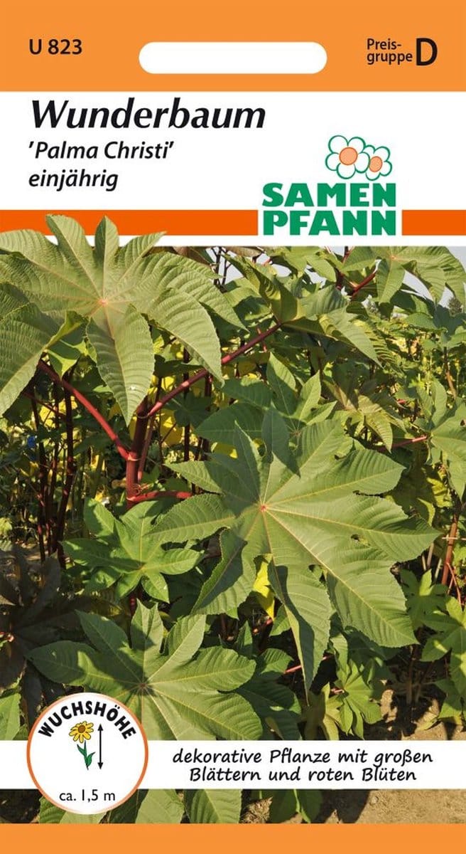 Wonderboom (Ricinus), Palma Christi - bloemzaden, zaden