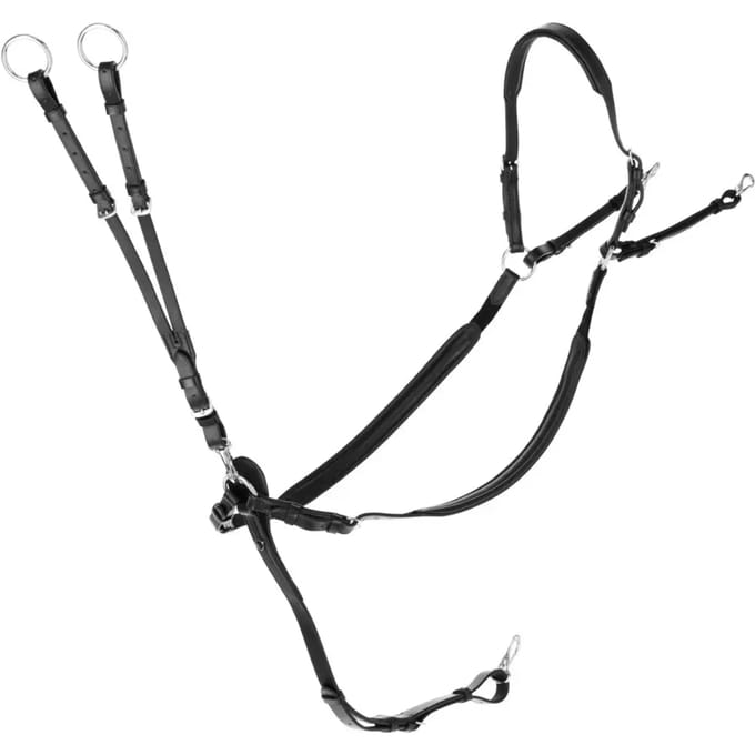 Martingale met ringen Covalliero