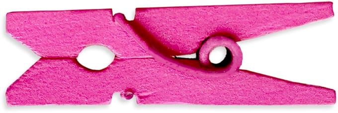 Wasknijpers 15 Kleuren 100 Per Pack 1 "2.5cm (Hot Pink)