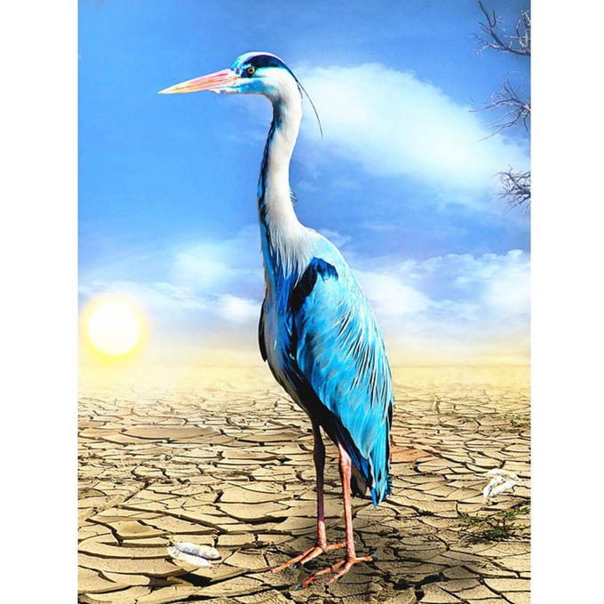 5D bricolage diamant peinture animaux diamant broderie 20X30CM white