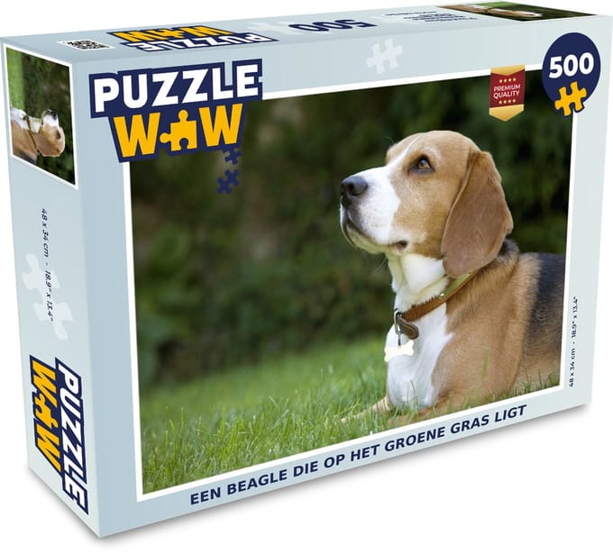 Puzzel Een beagle die op het groene gras ligt - Legpuzzel - Puzzel 500 stukjes