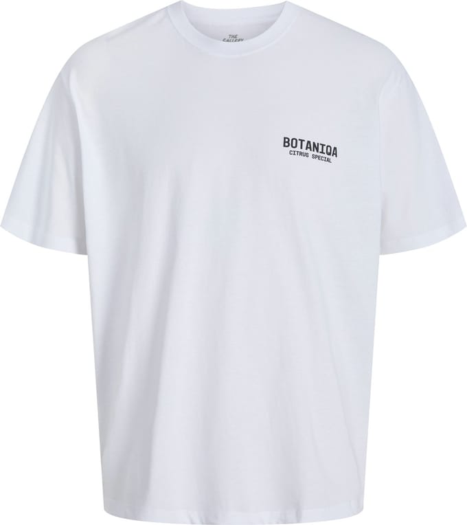 JACK&JONES - JORBOTANIQ TEE SS CREW NECK TG PLS - Heren - T-shirts