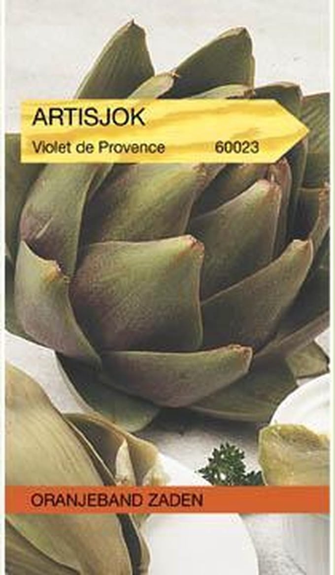 Oranjebandzaden -  Artisjokken Violet de Provence