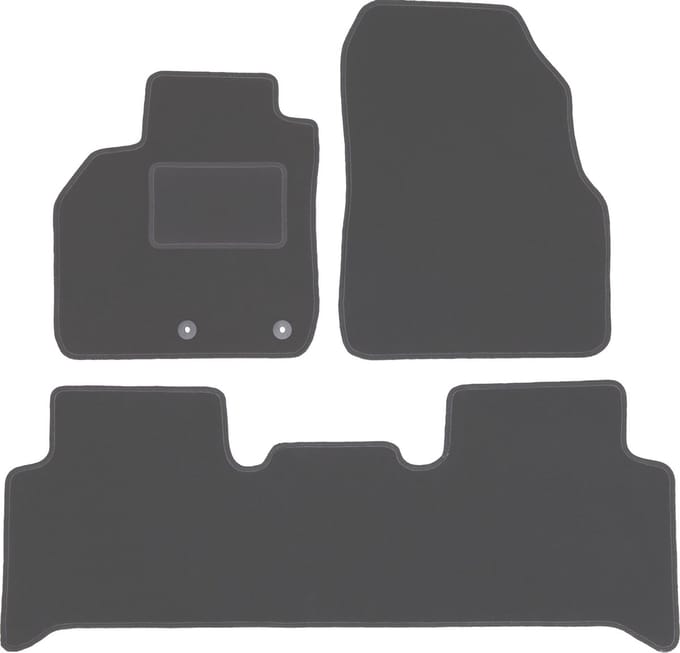 Grafiet automatten voor: Renault Scenic II minivan (2003-2009)