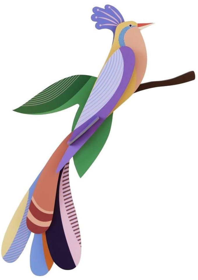Paradise Bird - Bisa