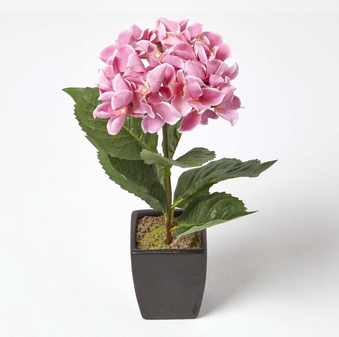 Homescapes Kunsthortensia's in zwarte pot, roze