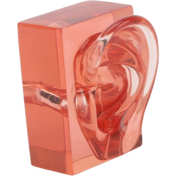 Rechter Oor Model Transparant Rood Acryl Stevig Waterdicht Hoge Simulatie Oor Display Model red