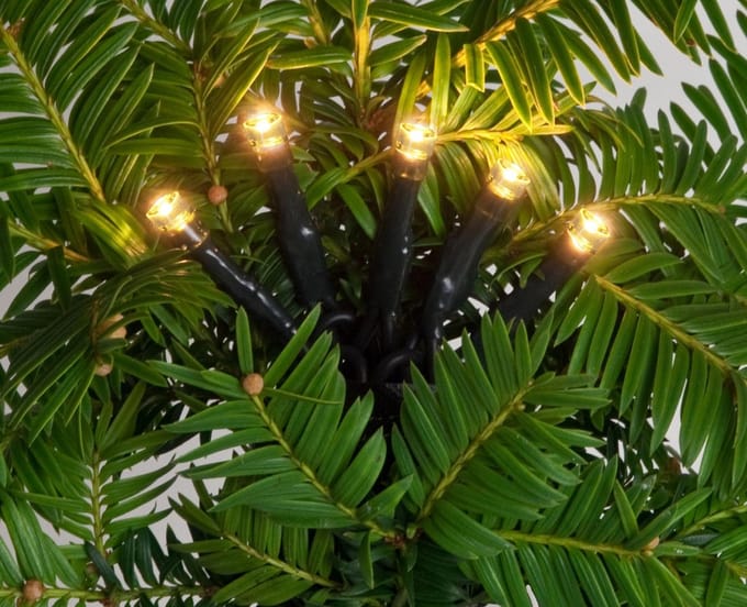Anna's Collection Kerstverlichting - 360 warm witte leds - met timer