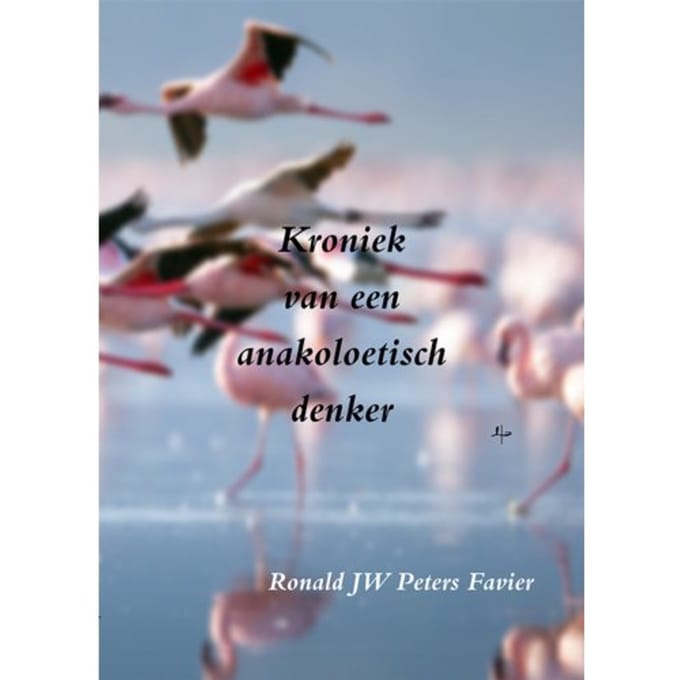 Kroniek Van Een Anakoelitisch Denker - Ronald Jw Peters Favier