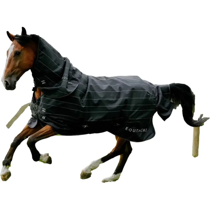 Outdoor paardendeken Equithème Tyrex Lumin 600D 0g