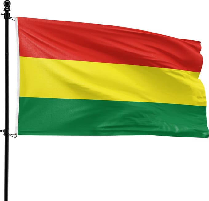 VlagDirect - Carnavalsvlag - Carnaval Vlag - 90 x 150 cm.