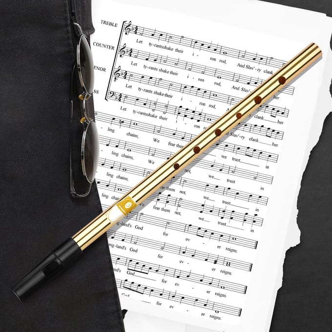 Ierse Whistle Fluit Toets D 6 Gaten Fluit Blaasinstrumenten voor Beginners Gevorderden Experts