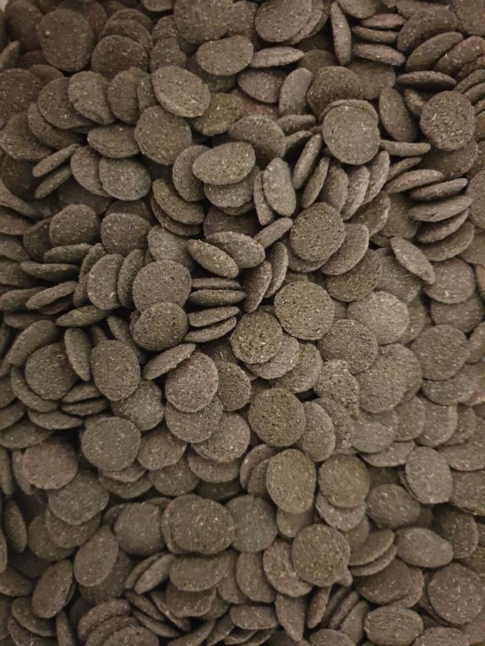 Algen wafels 80 gram