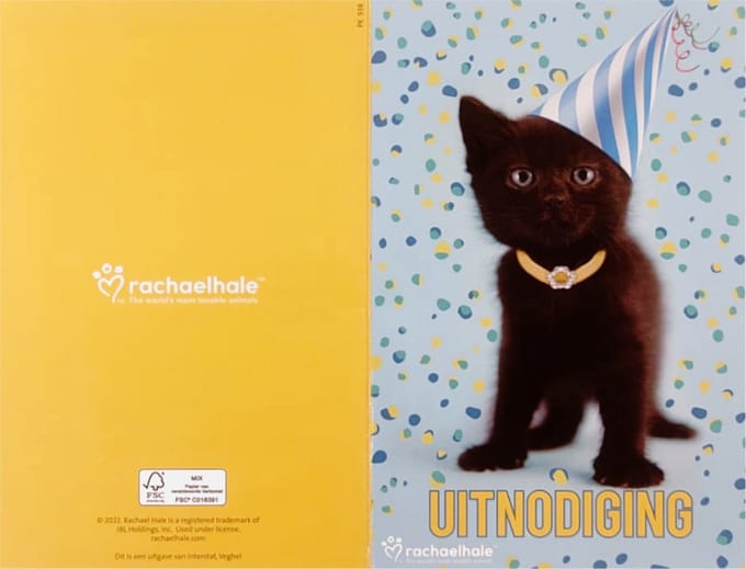 Uitnodigingskaarten - Kitten met feesthoedje - 6st.