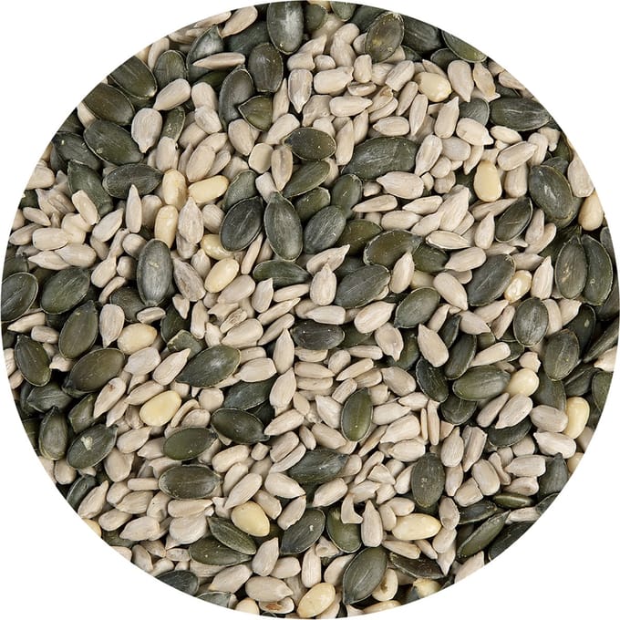 BrandNewCake Pittenmix 230g