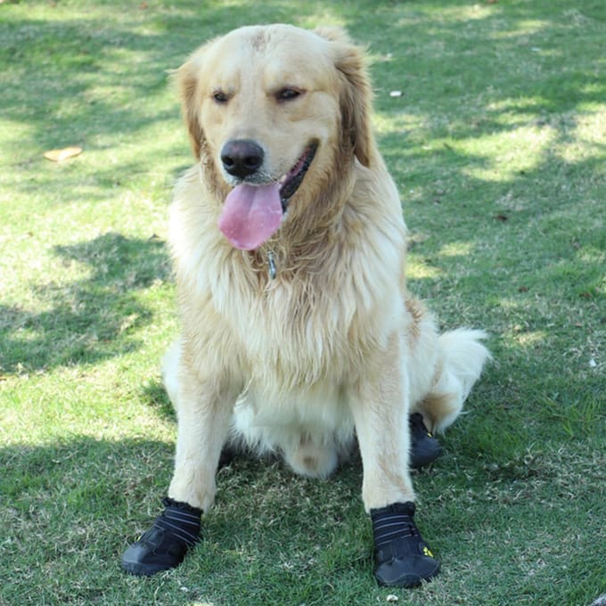 Hondenschoenen Laarzen Waterdichte schoenen voor honden met reflecterend robuust size 6 black