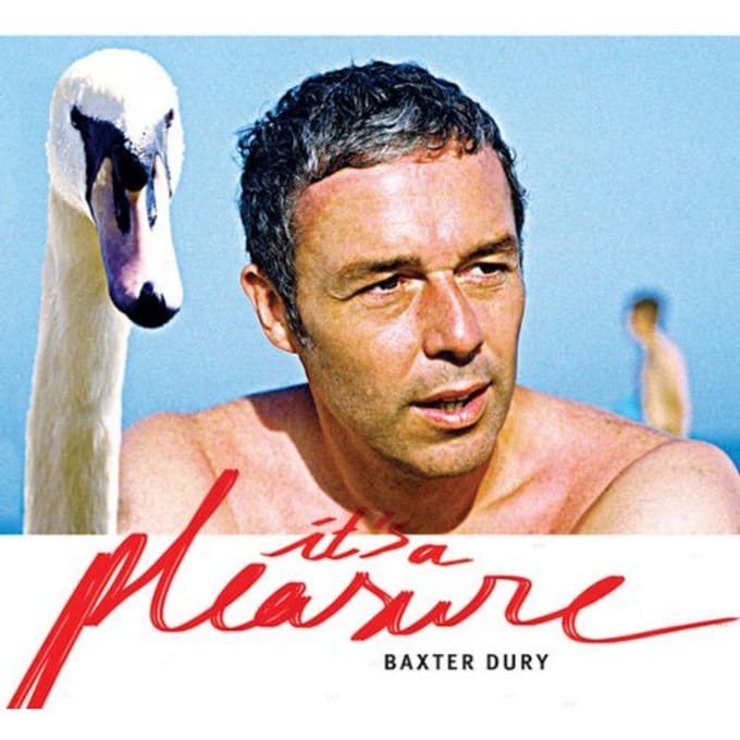 Baxter Dury - It's A Pleasure (CD)