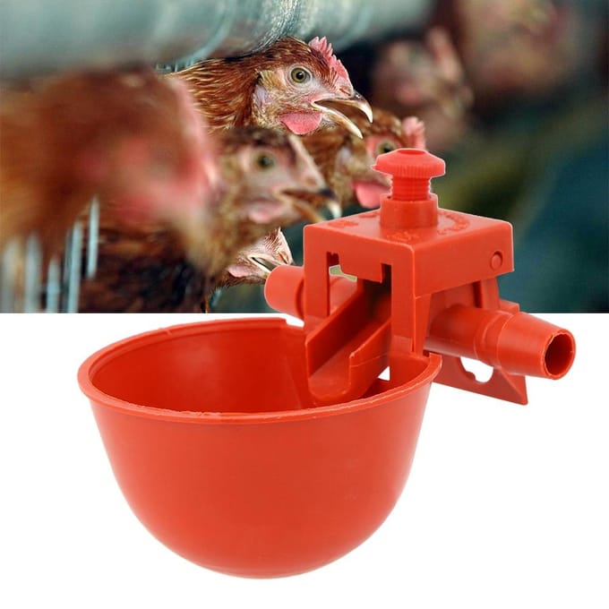 10 stuks Kip Pluimvee Drinker Waterer Waterkom Beker Drinkwater Gereedschap Kooi Accessoires red