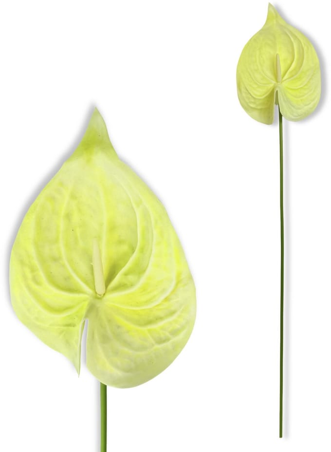 Inspiruj - Kunstbloem - Piank Anturium - Crème - 57 cm
