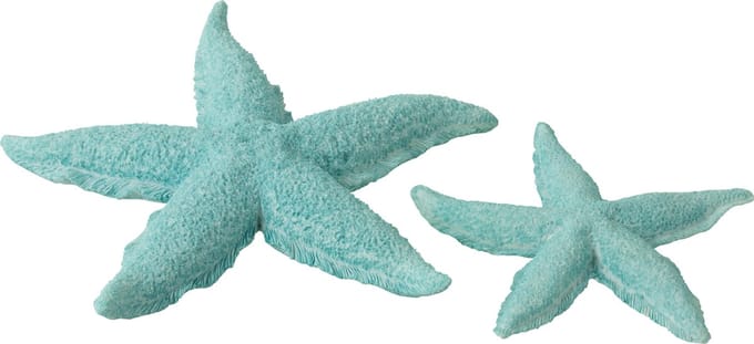 J-Line decoratie Zeester - polyresin - azuur - large