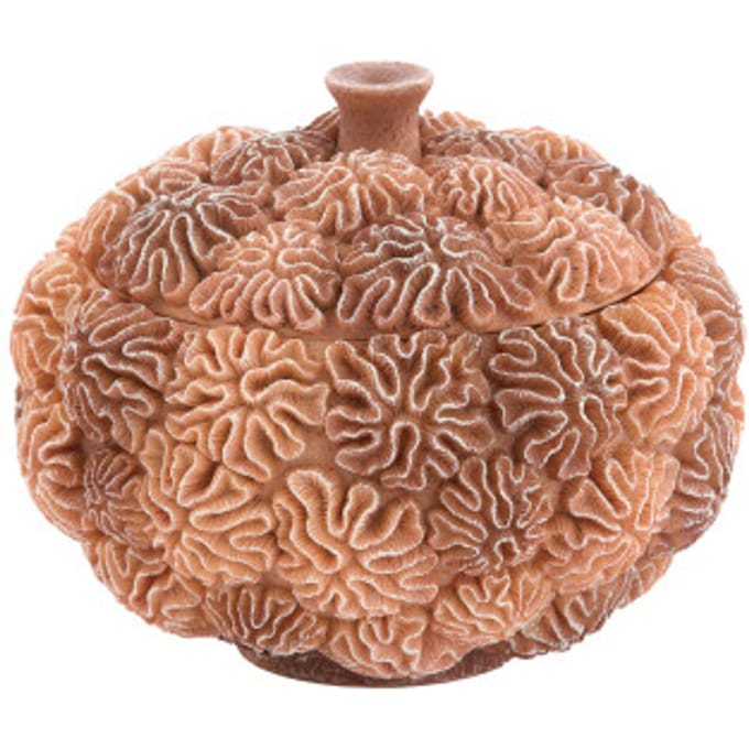 Light & Living - Deco box+deksel CORAL - Ø20x15.5cm - Bruin